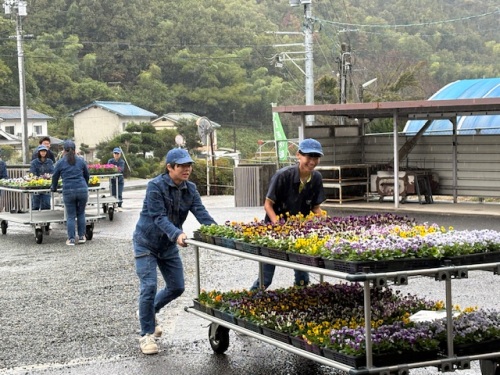『地域ふれあい市』の準備