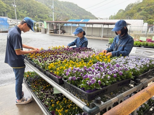 『地域ふれあい市』の準備