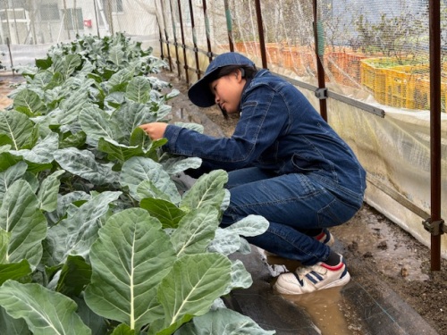 やりたいことを形にできる