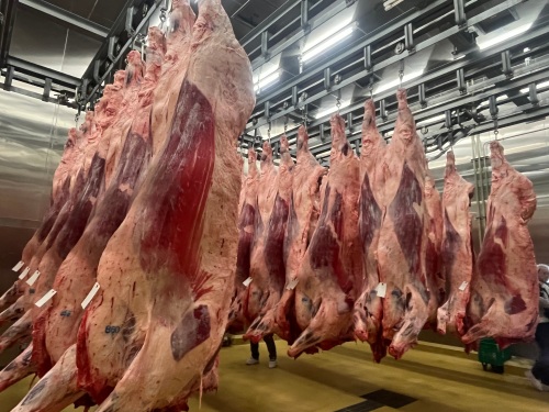 ★ boma RASOR 引取り歓迎！　岡山 ☆BOMA RASOR 引取り歓迎！ 岡山