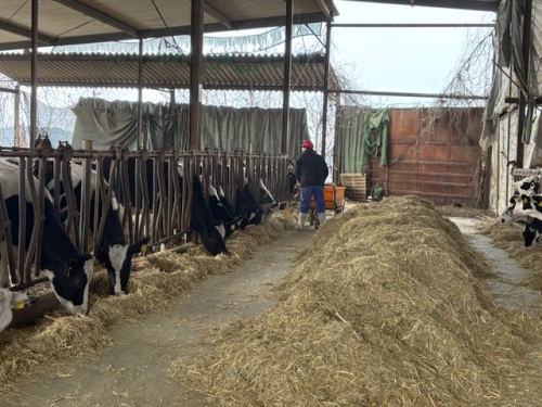 ミルクファクトリー・キシモト