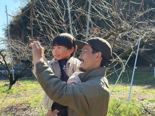 桃の様子を見る今井さんと息子さん
