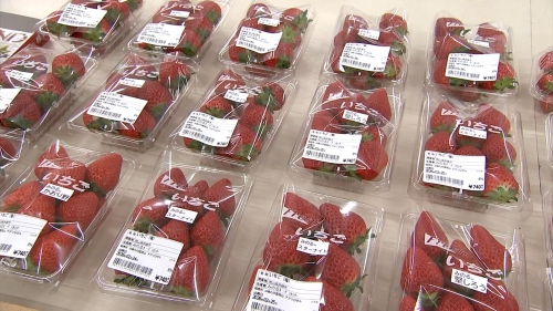 真っ赤なイチゴ