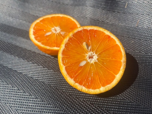 甘みが強く、酸味はまろやか！！