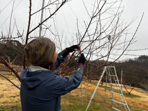 作業する畑 祐貴さん