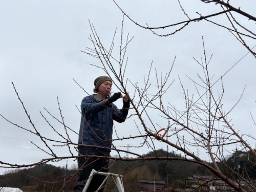 1.6ヘクタールの畑を借り受ける