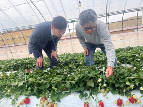 農家によりそう姿勢が素敵