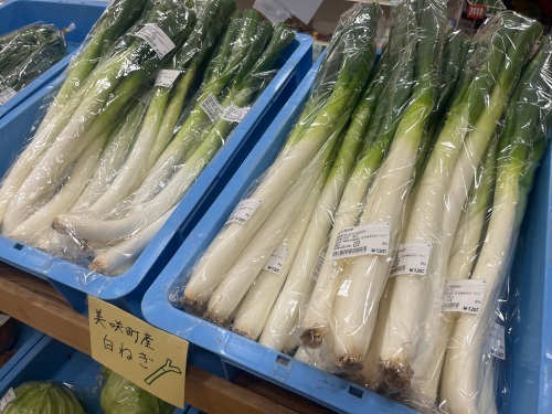 白ネギ
