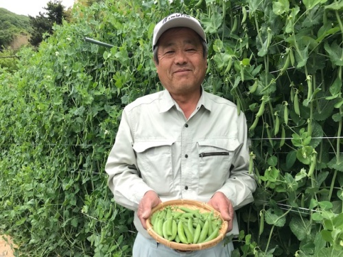 栽培6年の杉本さん