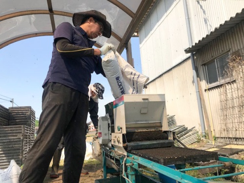 作業をする米田さん