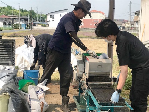 作業をする米田さん2