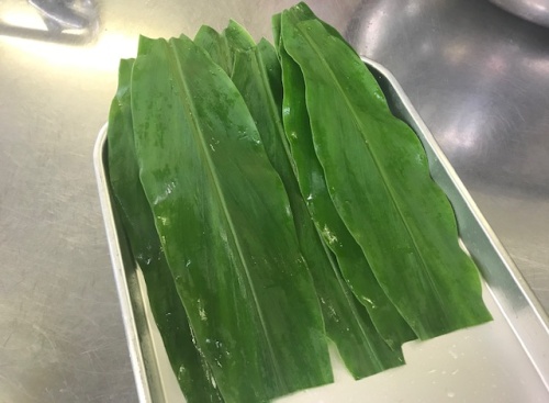 ミョウガの葉