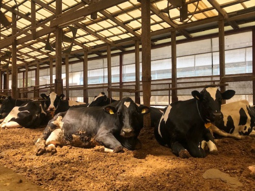 女性スタッフリポート JAグループ岡山 笑味（えみ）ちゃん天気予報