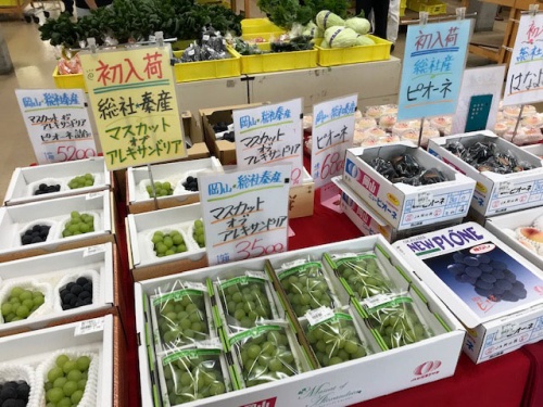 店頭に並ぶブドウ