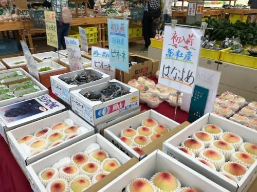 店頭には岡山自慢の果物がずらり