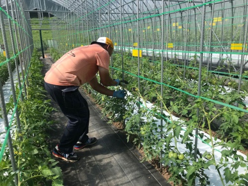 作業をする西田和正さん