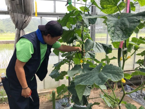 作業をする博文さん