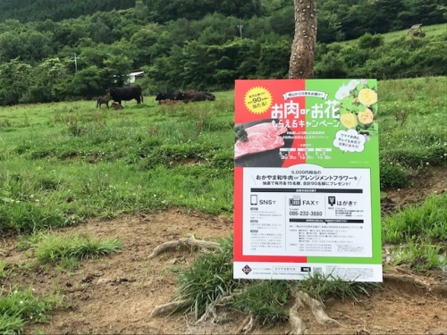 おかやま和牛肉、もしくはお花がもらえるキャンペーン おかやま和牛肉、もしくはお花がもらえるキャンペーン