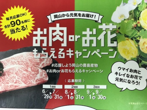 お肉orお花 もらえるキャンペーン お肉orお花 もらえるキャンペーン