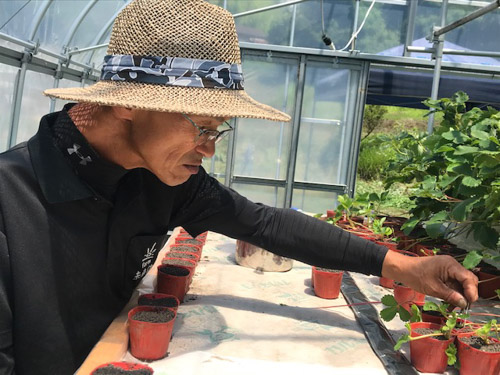 イチゴ生産者の柚野裕正さん イチゴ生産者の柚野裕正さん