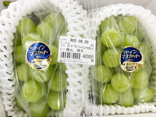 贈答用のブドウ