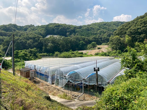岡山市東区古都宿にあるハウスです