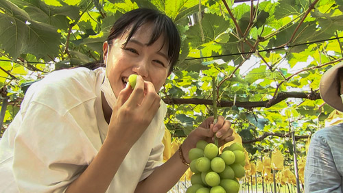 難波レポーター