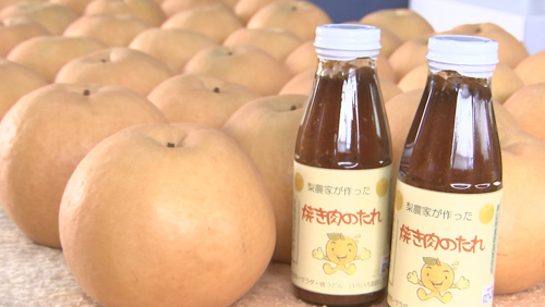 新高梨の加工品作り
