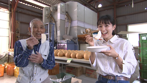 新高梨を試食させてもらいました