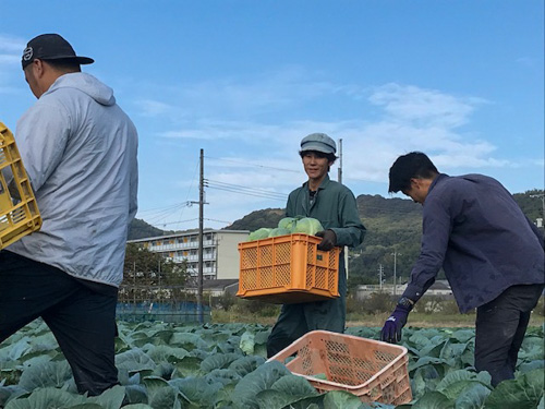 隅さん