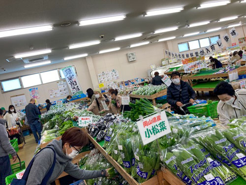 コマツナやホウレンソウなどの葉物野菜