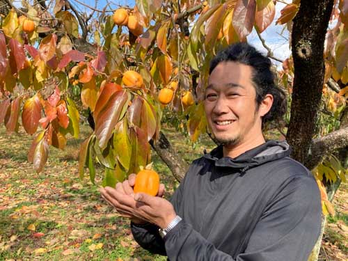 JA晴れの国岡山 津山柿部会 田中克宜（よしのり）部会長(41)