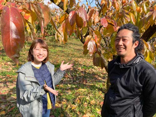 田中さんと