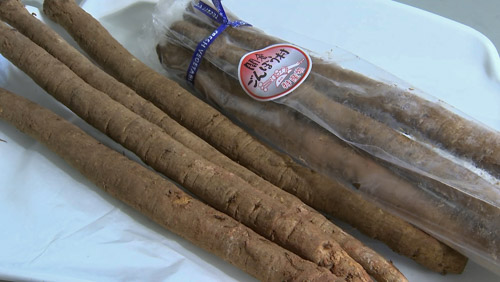 地元特産のごぼう「間倉（まぐら）ごぼう」が使われています