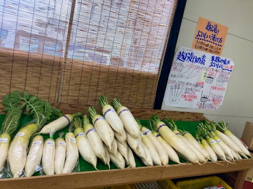 店内に並ぶダイコン