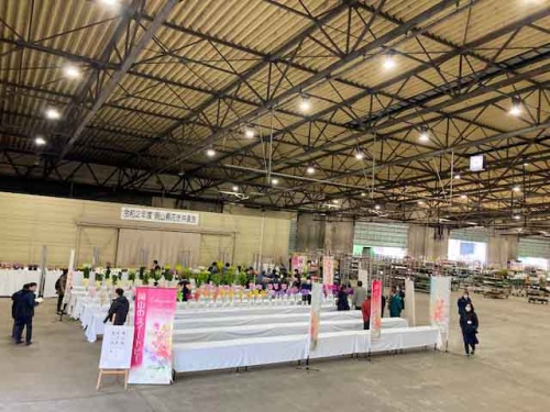 花き共進会会場の様子