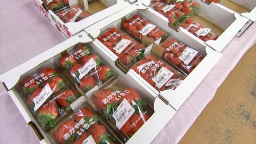 店頭に並ぶイチゴ