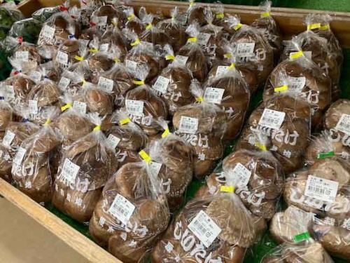 店頭に並ぶキノコ類