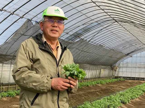 シュンギクを持つ山際さん