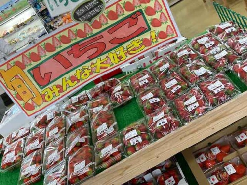 イチゴの陳列棚