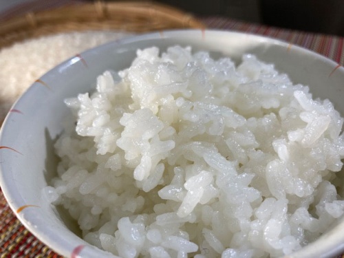 茶碗のご飯のアップ
