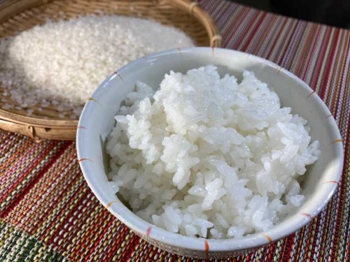 お米と茶碗のご飯