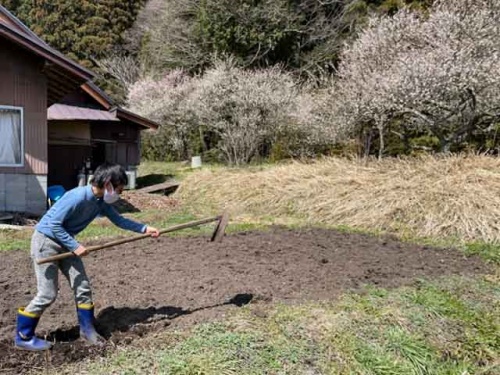 クワで畑を耕す友徳くん