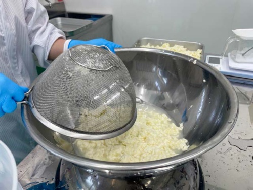 工房でのチーズ作り