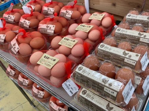 注目の濃厚なタマゴ