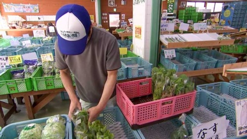 農産物出荷中