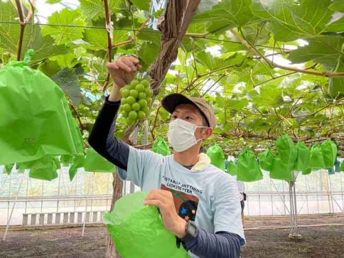 妻への感謝をかみしめつつ作業