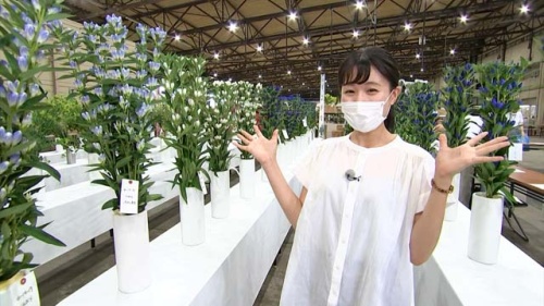 穏やかな気持ちになる難波リポーター