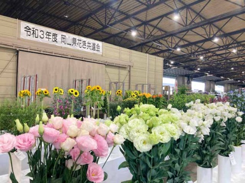 花き共進会の様子
