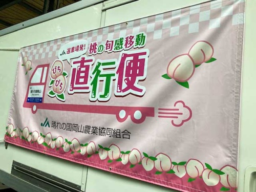 「ぴちぴち直行便」
